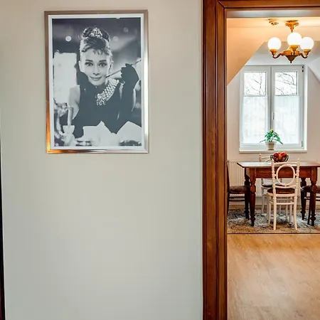 Nadstandardni Luxusni Apartman V Centru Ceske Lipy Ceska Lipa Exterior photo
